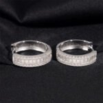Pass Diamond Tester S925 Silver Moissanite Hoop Earrings, Anti-Tarnish - Image 2
